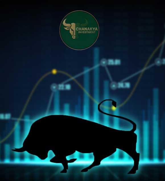 about Chankaya Investments